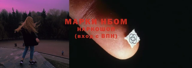 гидропоника Алзамай