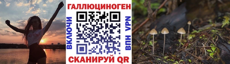 blacksprut как зайти  Гаджиево  Псилоцибиновые грибы ЛСД 